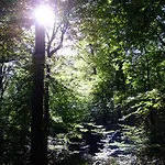 14-18 Meuse-argonne 3* Montfaucon-d'Argonne