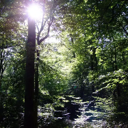 14-18 Meuse-argonne 3* Montfaucon-d'Argonne