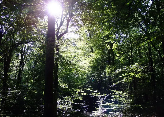 14-18 Meuse-argonne 3* Montfaucon-d'Argonne