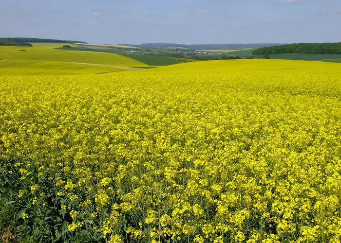 Bed & Breakfast 14-18 Meuse-argonne